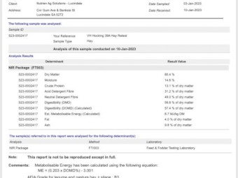 Clover/Rye Grass Hay 8x4x3 80 Tonne Available