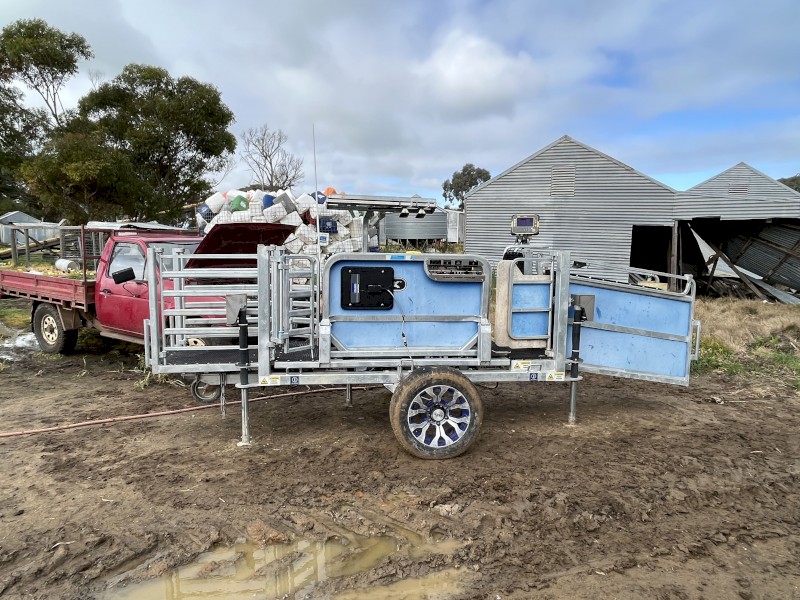 2018 clipex sheep handler contractor model