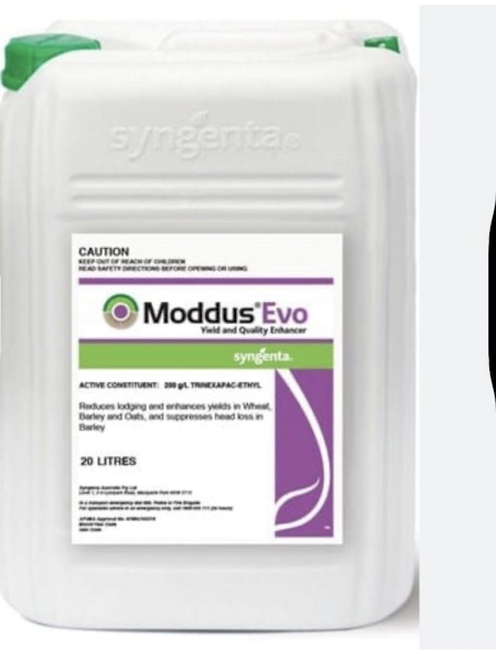 Moddus - Generic