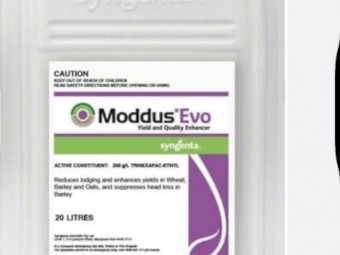 Moddus - Generic
