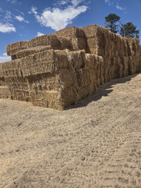 200mt Barley Hay 8x4x3 Bales