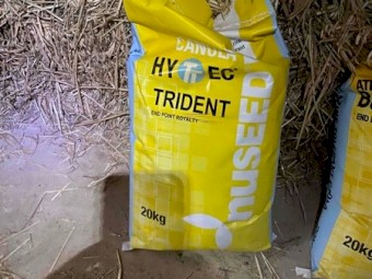 Hyttec Trident 