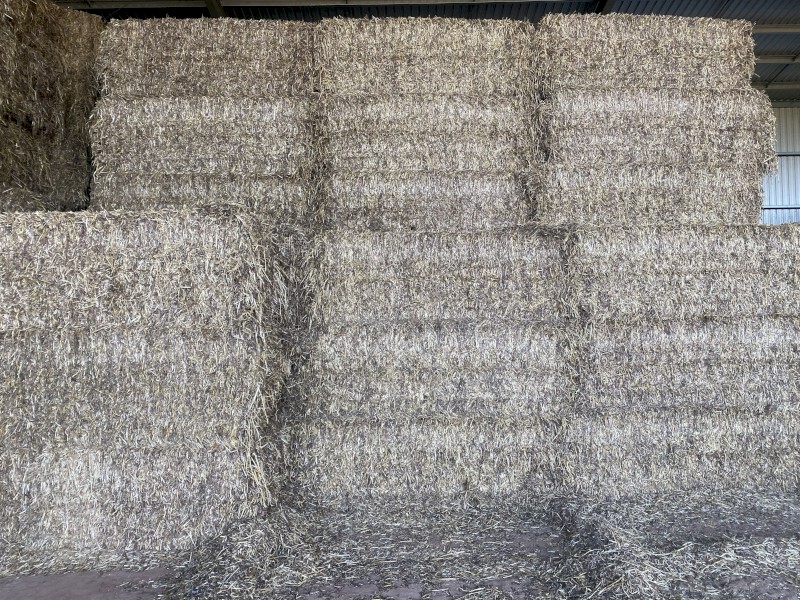 168mt Vetch/Moby Hay 8x4x3 Bales