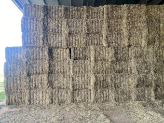 168mt Vetch/Moby Hay 8x4x3 Bales