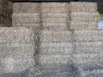168mt Vetch/Moby Hay 8x4x3 Bales