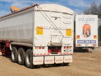 45mt Timok Vetch Seed