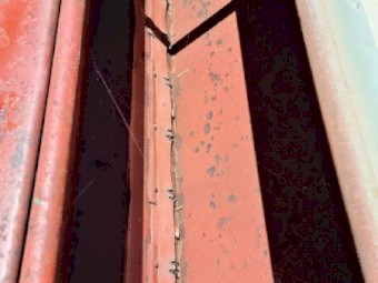 John Shearer Karinja Seeder 130J1