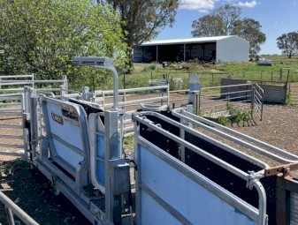 ClipEx Sheep handler