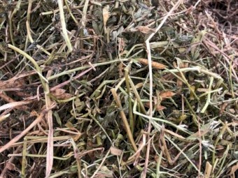 Vetch Hay 530kg 8x4x3 Bales