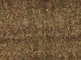 Vetch Hay 530kg 8x4x3 Bales