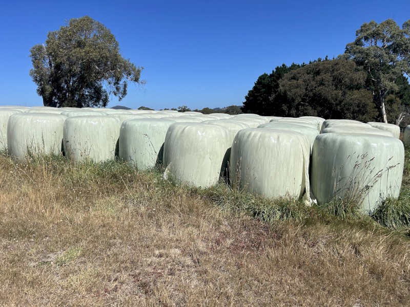 Clover/pasture Silage Grade A2