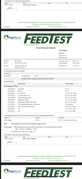 46mt Cereal Vetch Clover Hay 550kg 8x4x3 Bales