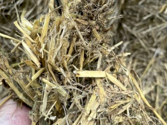 46mt Cereal Vetch Clover Hay 550kg 8x4x3 Bales