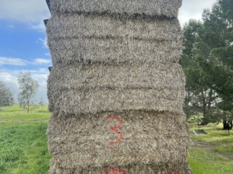 46mt Cereal Vetch Clover Hay 550kg 8x4x3 Bales