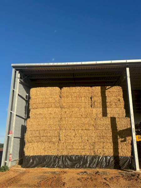 275mt Wheaten Hay 640kg 8x4x3 Bales