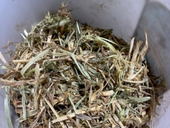 275mt Wheaten Hay 640kg 8x4x3 Bales