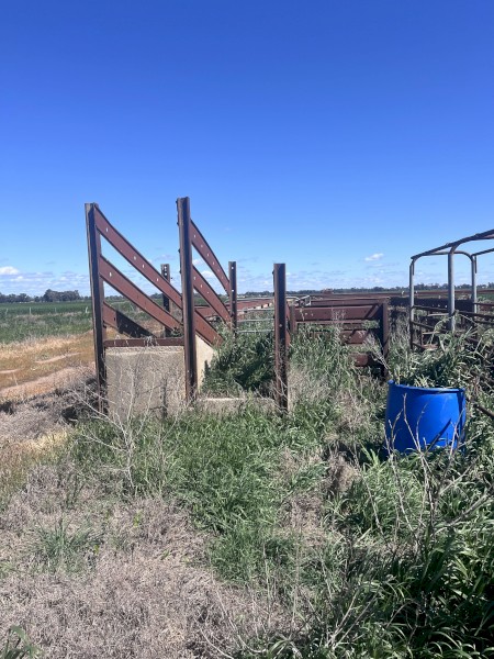 Cattle Crush + Yards