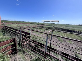 Cattle Crush + Yards