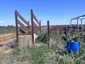 Cattle Crush + Yards