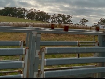 METALCORP CATTLEMASTER CRUSH with Optional Custom Roof