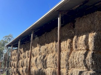 150 bales Oaten Hay 8x4x3 Bales