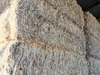 150 bales Oaten Hay 8x4x3 Bales