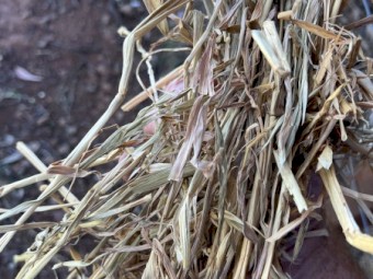 150 bales Oaten Hay 8x4x3 Bales