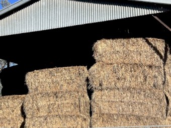 150 bales Oaten Hay 8x4x3 Bales