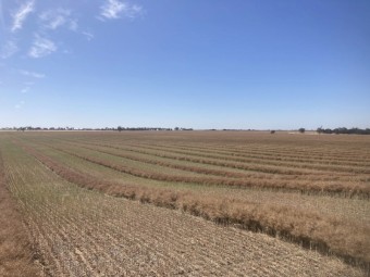 2016 MacDon M155 Windrower with 40ft Front and Spray Cart