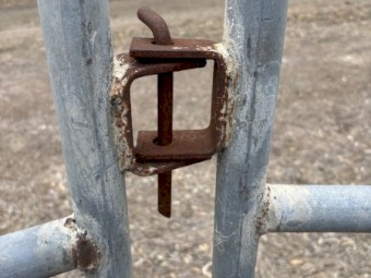 Steel Cattle Yards & Gates