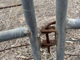 Steel Cattle Yards & Gates