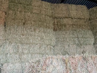 150mt Oaten Hay 8x4x3 Bales