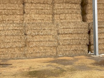 150T  Oaten Hay 8x4x3 Bales