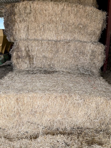 30mt Pasture/Grass Hay 8x4x3 Bales