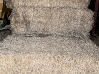30mt Pasture/Grass Hay 8x4x3 Bales