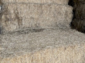 30mt Pasture/Grass Hay 8x4x3 Bales