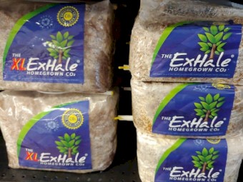 The Exhale Home Growth CO2
