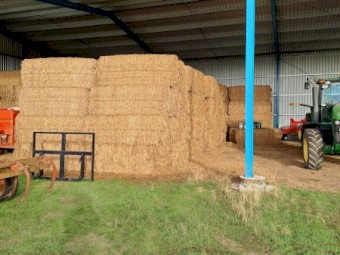 New season Clover hay