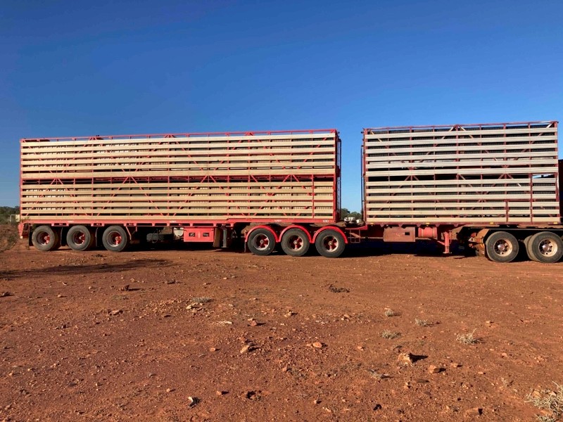 B/double set of convertable stock crates