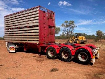 B/double set of convertable stock crates