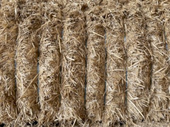 Header trail wheat straw 