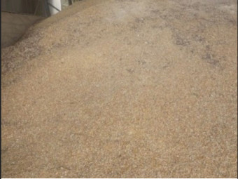 25mt Cracked Corn