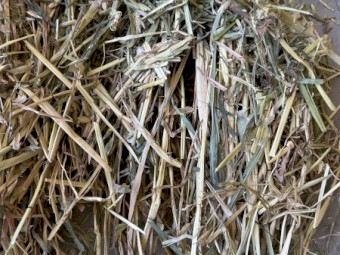 150mt Oaten Hay 575kg 8x4x3 Bales