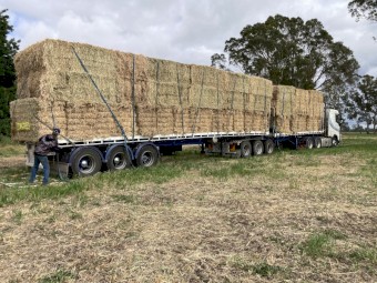 Ryegrass Hay