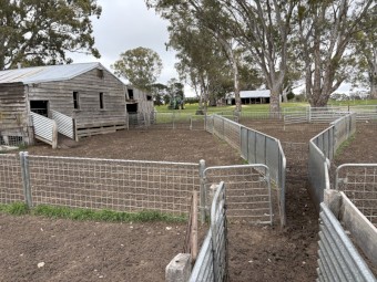Sheep Yards