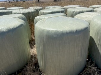 60 x Clover Silage 5x4 Rolls