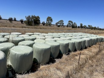 60 x Clover Silage 5x4 Rolls