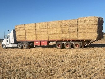 150mt Windrowed Wheaten Straw 8x4x3 Bales