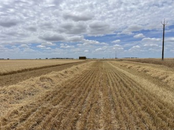 EOI Wheaten & Barley Straw
