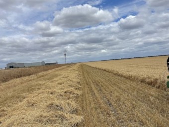 EOI Wheaten & Barley Straw